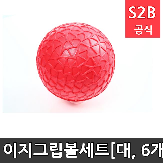 이지그립볼세트[대, 6개]  체육용품  체육교구 유아체육교구 체육사 스포츠용품 학교체육용품 체육물품 학교체육교구 학교체육 스포타임  2312