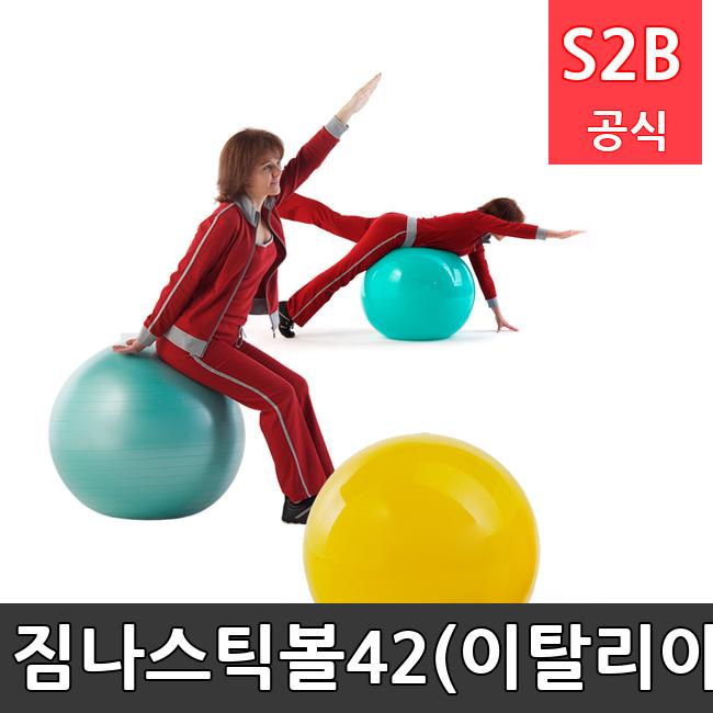 짐나스틱볼42(이탈리아) /키드짐/학교체육/뉴스포츠/스포츠용품 학교체육용품 체육교구 청소년체육40201