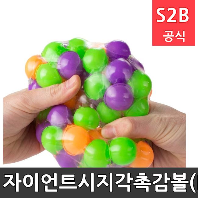자이언트시지각촉감볼(DNA) /키드짐/학교체육/뉴스포츠/스포츠용품 학교체육용품 체육교구 청소년체육40201