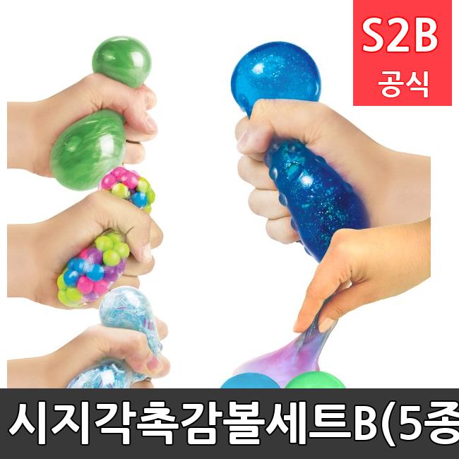 시지각촉감볼세트B(5종) /키드짐/학교체육/뉴스포츠/스포츠용품 학교체육용품 체육교구 청소년체육40201