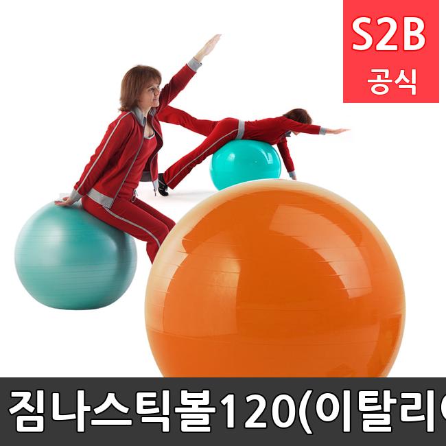 짐나스틱볼120(이탈리아) /키드짐/학교체육/뉴스포츠/스포츠용품 학교체육용품 체육교구 청소년체육40201