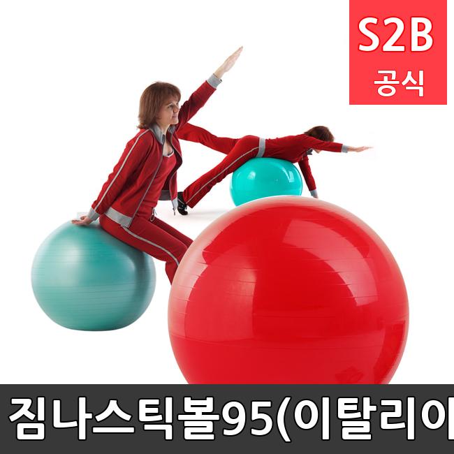 짐나스틱볼95(이탈리아) /키드짐/학교체육/뉴스포츠/스포츠용품 학교체육용품 체육교구 청소년체육40201