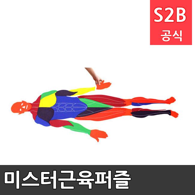 미스터근육퍼즐 /키드짐/학교체육/뉴스포츠/스포츠용품 학교체육용품 체육교구 청소년체육40201