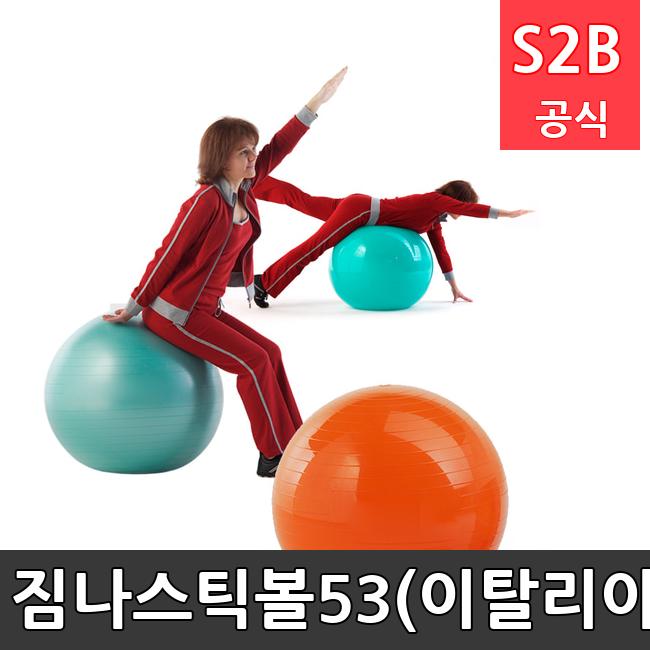 짐나스틱볼53(이탈리아) /키드짐/학교체육/뉴스포츠/스포츠용품 학교체육용품 체육교구 청소년체육40201