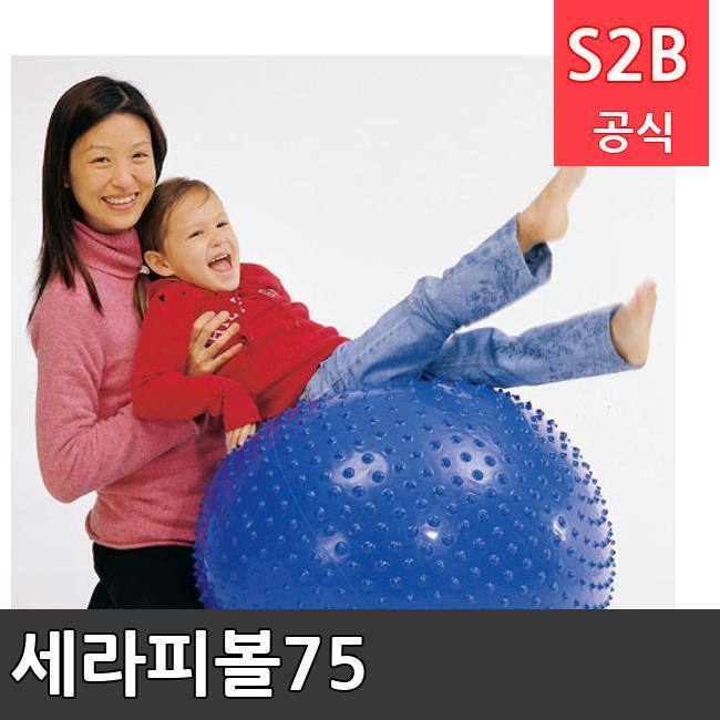 세라피볼75 /키드짐/학교체육/뉴스포츠/스포츠용품 학교체육용품 체육교구 청소년체육40201