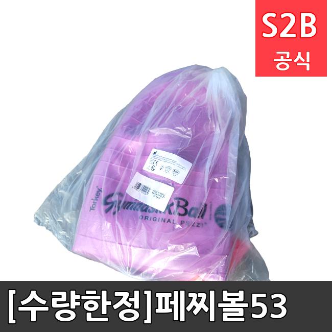 [수량한정]페찌볼53 /키드짐/학교체육/뉴스포츠/스포츠용품 학교체육용품 체육교구 청소년체육40201