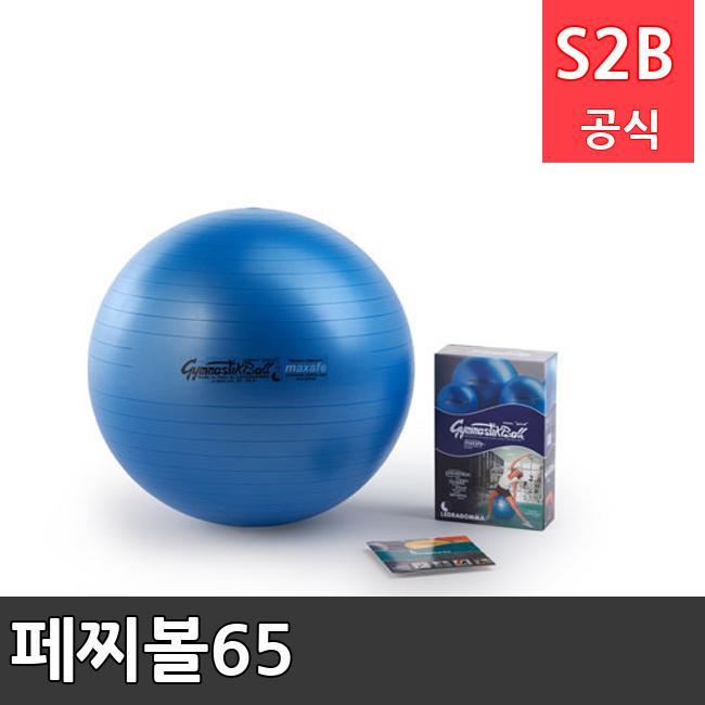 페찌볼65 /키드짐/학교체육/뉴스포츠/스포츠용품 학교체육용품 체육교구 청소년체육40201