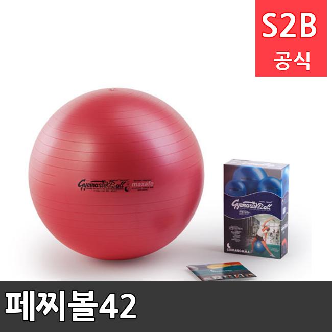 페찌볼42 /키드짐/학교체육/뉴스포츠/스포츠용품 학교체육용품 체육교구 청소년체육40201