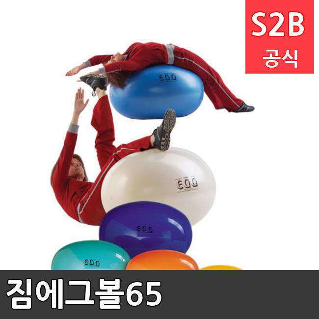 짐에그볼65 /키드짐/학교체육/뉴스포츠/스포츠용품 학교체육용품 체육교구 청소년체육40201