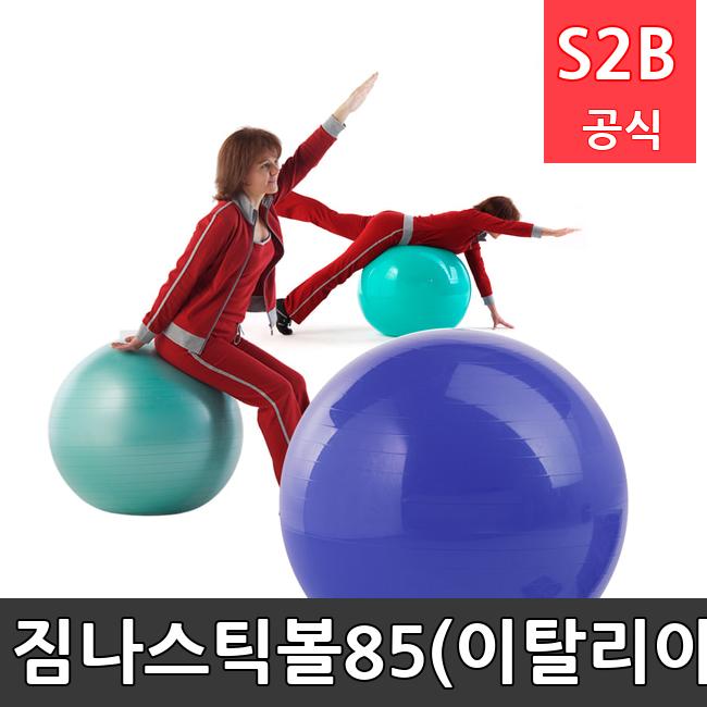 짐나스틱볼85(이탈리아) /키드짐/학교체육/뉴스포츠/스포츠용품 학교체육용품 체육교구 청소년체육40201