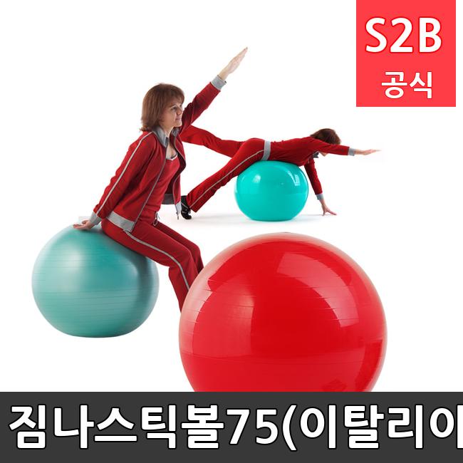 짐나스틱볼75(이탈리아) /키드짐/학교체육/뉴스포츠/스포츠용품 학교체육용품 체육교구 청소년체육40201