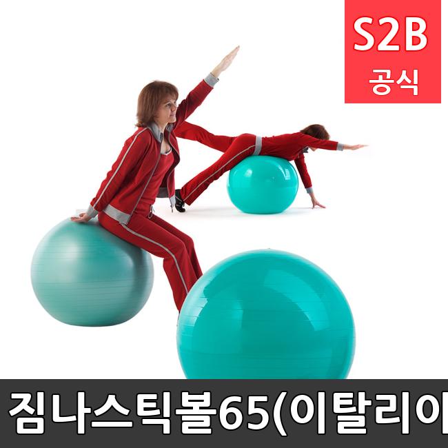 짐나스틱볼65(이탈리아) /키드짐/학교체육/뉴스포츠/스포츠용품 학교체육용품 체육교구 청소년체육40201
