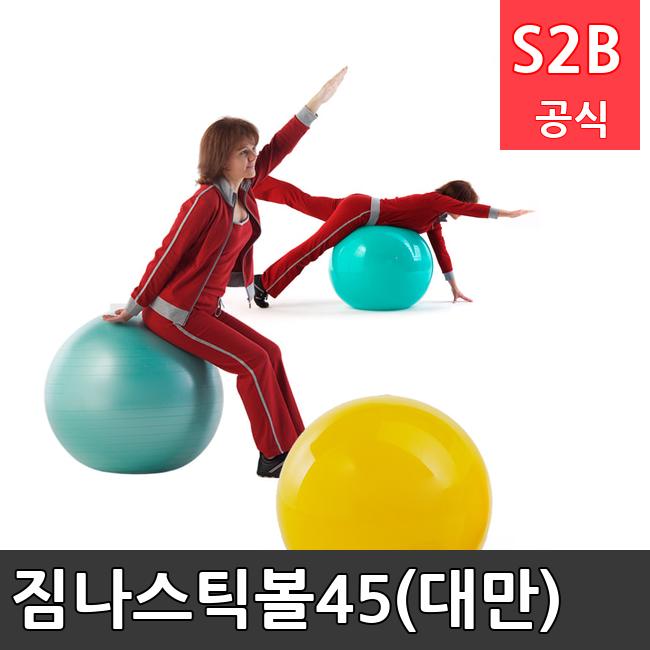 짐나스틱볼45(대만) /키드짐/학교체육/뉴스포츠/스포츠용품 학교체육용품 체육교구 청소년체육40201