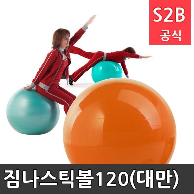 짐나스틱볼120(대만) /키드짐/학교체육/뉴스포츠/스포츠용품 학교체육용품 체육교구 청소년체육40201