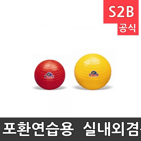 포환연습용 - 실내외겸용/1kg,2kg,3kg,4kg,5kg,6kg,6.25kg/우수한 PVC소재의 연습용 포환/육상용품/학교체육