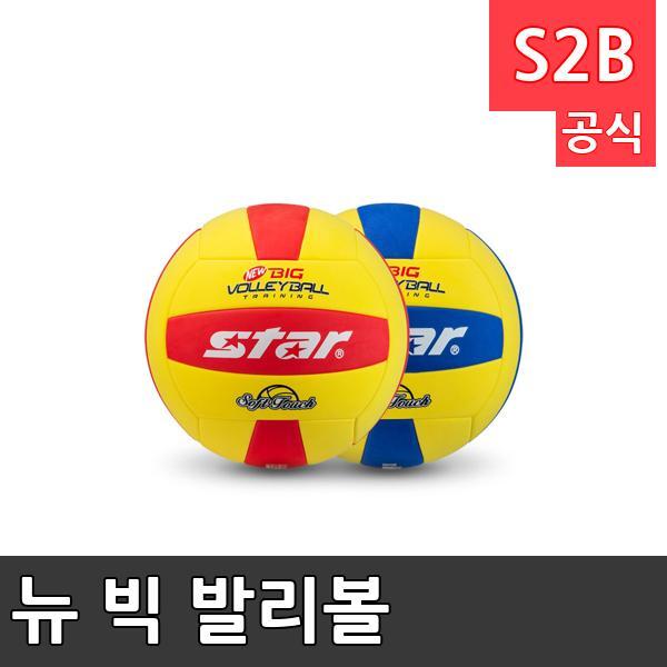 뉴 빅 발리볼 /학교 체육/ 스타 스포츠 /뉴스포츠